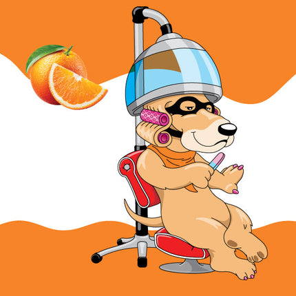 Collection image for: Extra Fresh (Orange)