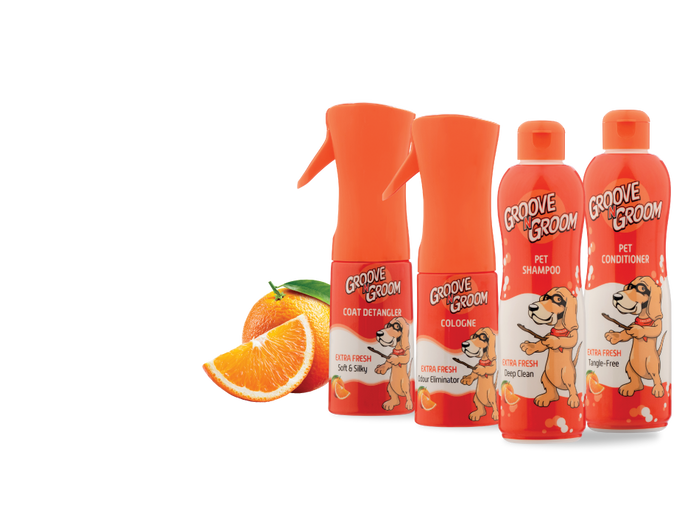 <h1>EXTRA FRESH</h1>