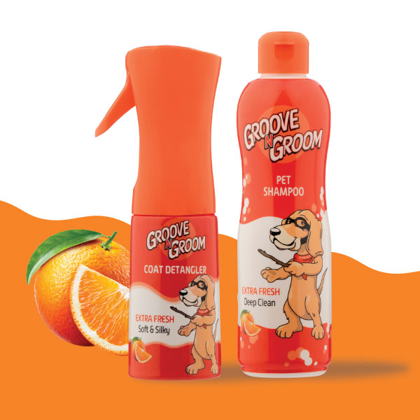 <h4>Extra Fresh</h4>