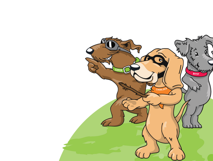 <h1>Pet <br/>Grooming</h1>