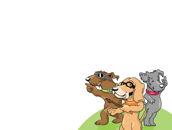 <h1>Pet <br/>Grooming</h1>