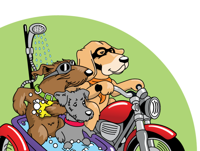 <h1>BULK GROOMER'S/HYDROBATH</h1>