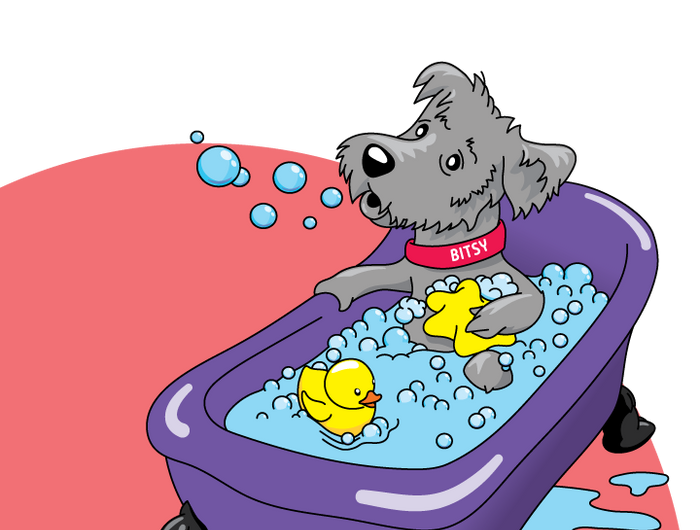 <h1>PUPPY &<br/>SENSITIVE</h1>