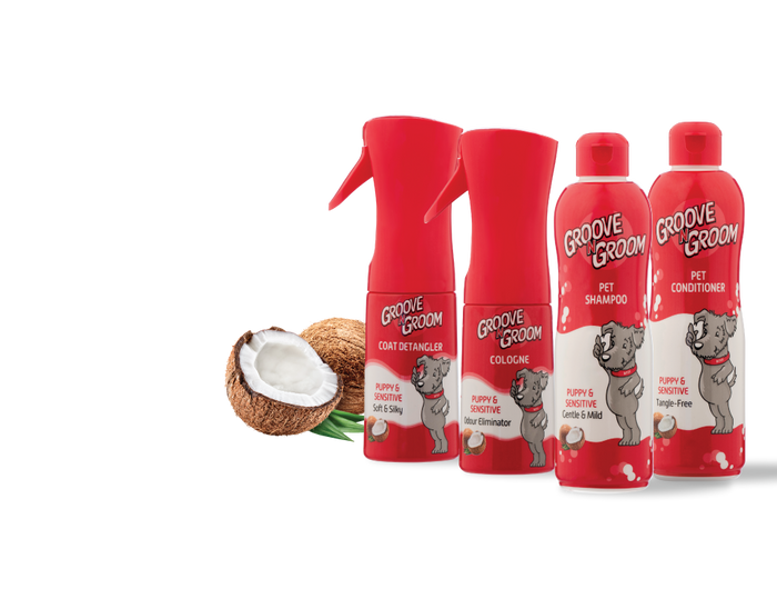 <h1>PUPPY & <br/>SENSITIVE</h1>